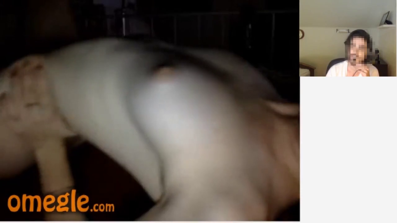 Indonesian bigg round boobs on ome tv